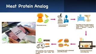 Meat Protein Analog
 