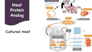 Meat
Protein
Analog
Cultured meat
Embryo
 