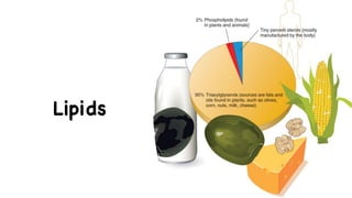 Lipids
 