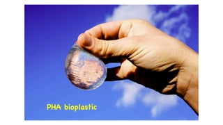 PHA bioplastic
 
