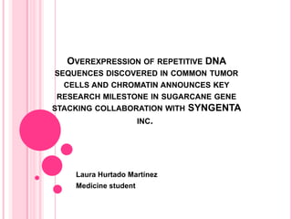 Overexpression of repetitive DNA sequences discovered in common tumor cells and chromatin announces key research milestone in sugarcane gene stacking collaboration with SYNGENTA inc.  Laura Hurtado Martínez Medicine student 