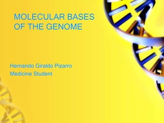 MOLECULAR BASES
OF THE GENOME
Hernando Giraldo Pizarro
Medicine Student
 
