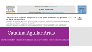 Catalina Aguilar Arias
Third semester, Facultad de Medicina, Universidad Pontificia Bolivariana
 