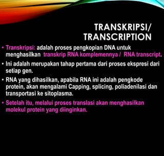 Biomol 6. transkripsi 1, from dna to rna | PDF