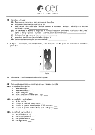 2
2.1. Complete as frases.
(A) O número de monómeros representados na figura é de _____________________.
(B) A reacção representada é uma reacção de _____________________.
(C) Dado serem constituídos por carbono, oxigénio e hidrogénio, a glicose, a frutose e a sacarose
classificam-se como _____________________.
(D) Em virtude de os átomos de oxigénio e de hidrogénio estarem combinados na proporção de 1 para 2
(como na água), a glicose, a frutose e a sacarose podem denominar-se de _____________________.
(E) O dissacarídeo representado é a _____________________.
(F) A celulose, o amido e o glicogénio são polímeros de _____________________.
(G) O único composto inorgânico representado é a _____________________.
3. A figura 3 representa, esquematicamente, uma molécula que faz parte da estrutura da membrana
plasmática.
Figura 3
3.1. Identifique o componente representado na figura 3.
_____________________________________________________________________________________
3.2. Nas questões que se seguem assinale com um X a opção correcta.
3.2.1. A porção A corresponde:
A- à parte hidrofílica. ____
B- à parte hidrofóbica. ____
C- a uma zona polar. ____
D- a uma zona com afinidade para a água. ____
3.2.2. A porção B é constituída por:
A- ácidos gordos. ____
B- resíduo de glicerol e ácidos gordos. ____
C- resíduo de glicerol, ácido fosfórico e radical azotado. ____
D- resíduo de glicerol, ácido fosfórico e um ácido gordo. ____
3.2.3. A molécula representada é:
A- um lípido de reserva. ____
B- um glícido estrutural. ____
C- um lípido estrutural. ____
D- um triglicerídeo. ____
 