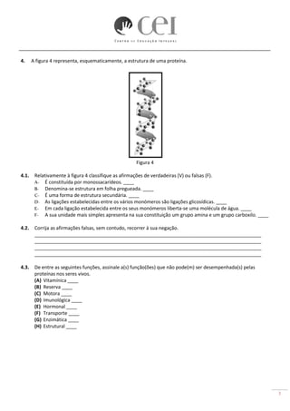 3
4. A figura 4 representa, esquematicamente, a estrutura de uma proteína.
Figura 4
4.1. Relativamente à figura 4 classifique as afirmações de verdadeiras (V) ou falsas (F).
A- É constituída por monossacarídeos. ____
B- Denomina-se estrutura em folha pregueada. ____
C- É uma forma de estrutura secundária. ____
D- As ligações estabelecidas entre os vários monómeros são ligações glicosídicas. ____
E- Em cada ligação estabelecida entre os seus monómeros liberta-se uma molécula de água. ____
F- A sua unidade mais simples apresenta na sua constituição um grupo amina e um grupo carboxilo. ____
4.2. Corrija as afirmações falsas, sem contudo, recorrer à sua negação.
_____________________________________________________________________________________
_____________________________________________________________________________________
_____________________________________________________________________________________
_____________________________________________________________________________________
4.3. De entre as seguintes funções, assinale a(s) função(ões) que não pode(m) ser desempenhada(s) pelas
proteínas nos seres vivos.
(A) Vitamínica ____
(B) Reserva ____
(C) Motora ____
(D) Imunológica ____
(E) Hormonal ____
(F) Transporte ____
(G) Enzimática ____
(H) Estrutural ____
 