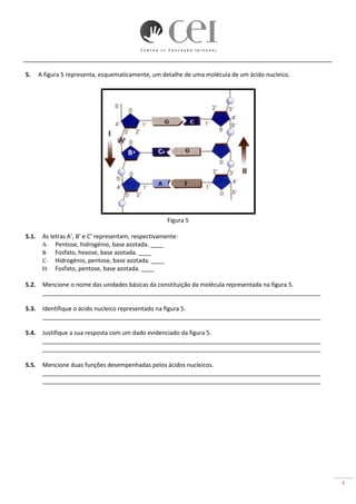 4
5. A figura 5 representa, esquematicamente, um detalhe de uma molécula de um ácido nucleico.
Figura 5
5.1. As letras A’, B’ e C’ representam, respectivamente:
A- Pentose, hidrogénio, base azotada. ____
B- Fosfato, hexose, base azotada. ____
C- Hidrogénio, pentose, base azotada. ____
D- Fosfato, pentose, base azotada. ____
5.2. Mencione o nome das unidades básicas da constituição da molécula representada na figura 5.
_____________________________________________________________________________________
5.3. Identifique o ácido nucleico representado na figura 5.
_____________________________________________________________________________________
5.4. Justifique a sua resposta com um dado evidenciado da figura 5.
_____________________________________________________________________________________
_____________________________________________________________________________________
5.5. Mencione duas funções desempenhadas pelos ácidos nucleicos.
_____________________________________________________________________________________
_____________________________________________________________________________________
‘
‘
 