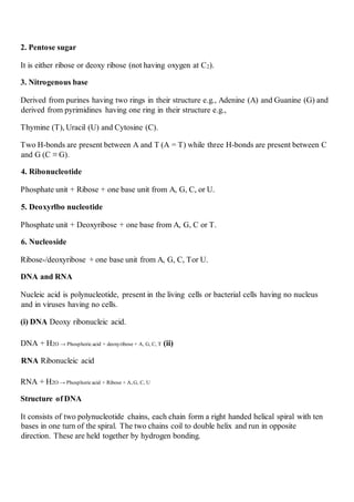 2. Pentose sugar
It is either ribose or deoxy ribose (not having oxygen at C2).
3. Nitrogenous base
Derived from purines having two rings in their structure e.g., Adenine (A) and Guanine (G) and
derived from pyrimidines having one ring in their structure e.g.,
Thymine (T), Uracil (U) and Cytosine (C).
Two H-bonds are present between A and T (A = T) while three H-bonds are present between C
and G (C ≡ G).
4. Ribonucleotide
Phosphate unit + Ribose + one base unit from A, G, C, or U.
5. Deoxyrlbo nucleotide
Phosphate unit + Deoxyribose + one base from A, G, C or T.
6. Nucleoside
Ribose-/deoxyribose + one base unit from A, G, C, Tor U.
DNA and RNA
Nucleic acid is polynucleotide, present in the living cells or bacterial cells having no nucleus
and in viruses having no cells.
(i) DNA Deoxy ribonucleic acid.
DNA + H2O → Phosphoric acid + deoxyribose + A, G, C, T (ii)
RNA Ribonucleic acid
RNA + H2O → Phosphoricacid + Ribose + A, G, C, U
Structure of DNA
It consists of two polynucleotide chains, each chain form a right handed helical spiral with ten
bases in one turn of the spiral. The two chains coil to double helix and run in opposite
direction. These are held together by hydrogen bonding.
 
