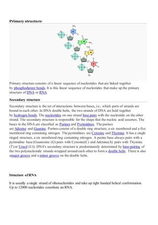 Primary structure
Primary structure consists of a linear sequence of nucleotides that are linked together
by phosphodiester bonds. It is this linear sequence of nucleotides that make up the primary
structure of DNA or RNA.
Secondary structure
Secondary structure is the set of interactions between bases, i.e., which parts of strands are
bound to each other. In DNA double helix, the two strands of DNA are held together
by hydrogen bonds. The nucleotides on one strand base pairs with the nucleotide on the other
strand. The secondary structure is responsible for the shape that the nucleic acid assumes. The
bases in the DNA are classified as Purines and Pyrimidines. The purines
are Adenine and Guanine. Purines consist of a double ring structure, a six membered and a five
membered ring containing nitrogen. The pyrimidines are Cytosine and Thymine. It has a single
ringed structure, a six membered ring containing nitrogen. A purine base always pairs with a
pyrimidine base (Guanosine (G) pairs with Cytosine(C) and Adenine(A) pairs with Thymine
(T) or Uracil (U)). DNA's secondary structure is predominantly determined by base-pairing of
the two polynucleotide strands wrapped around each other to form a double helix. There is also
amajor groove and a minor groove on the double helix.
Structure of RNA
It is usually a single strand of ribonucleotides and take up right handed helical conformation.
Up to 12000 nucleotides constitute an RNA.
 