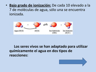 <ul><li>Bajo grado de ionización:   De cada 10 elevado a la 7 de moléculas de agua, sólo una se encuentra ionizada. </li><...