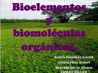 Bioelementos y
biomoléculas
orgánicas.
Beatriz Benedicto Granell
Cristina Pérez Gisbert
Revisado por lic. Silvana
 