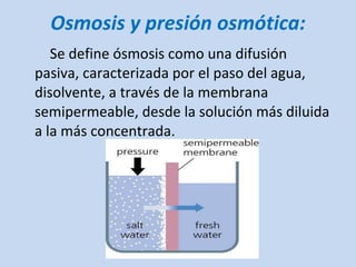 Osmosis y presión osmótica: Se define ósmosis como una difusión pasiva, caracterizada por el paso del agua, disolvente, a través de la membrana semipermeable, desde la solución más diluida a la más concentrada. 