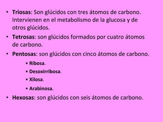 Triosas : Son glúcidos con tres átomos de carbono. Intervienen en el metabolismo de la glucosa y de otros glúcidos. Tetrosas : son glúcidos formados por cuatro átomos de carbono. Pentosas : son glúcidos con cinco átomos de carbono. •  Ribosa .  •  Desoxirribosa .  •  Xilosa .  •  Arabinosa .  Hexosas : son glúcidos con seis átomos de carbono. 