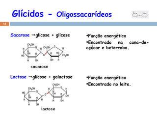 Glícidos -  Oligossacarídeos Sacarose    glicose + glicose  Função energética Encontrado na cana-de-açúcar e beterraba. Lactose    glicose + galactose  Função energética Encontrado no leite. 