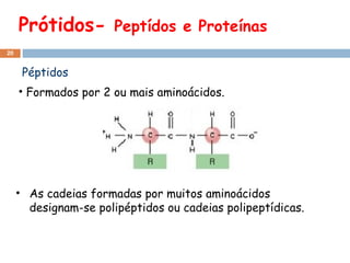 Prótidos-  Peptídos e Proteínas Péptidos Formados por 2 ou mais aminoácidos. As cadeias formadas por muitos aminoácidos designam-se polipéptidos ou cadeias polipeptídicas. 