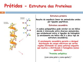 Prótidos -  Estrutura das  Proteínas Estrutura primária Resulta da sequência linear de aminoácidos unidos por ligações peptídicas. Estrutura secundária A cadeia polipeptídica pode enrolar-se em hélice devido à interacção entre diversos aminoácidos, que estabelecem entre si ligações de hidrogénio (o enrolamento em hélice não é o único tipo de estrutura secundária). O enrolamento secundário permite a desigual distribuição de cargas eléctricas em certas regiões (formando-se zonas polares) enquanto que noutras a distribuição é homogénea (zonas apolares). ˆ Proteína anfipática  (com zona polar e zona apolar)  ˆ 