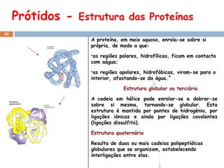 Prótidos -  Estrutura das  Proteínas A proteína, em meio aquoso, enrola-se sobre si própria, de modo a que: as regiões polares, hidrofílicas, ficam em contacto com aágua; as regiões apolares, hidrofóbicas, viram-se para o interior, afastando-se da água.ˆ Estrutura globular ou terciária A   cadeia em hélice pode enrolar-se e dobrar-se sobre si mesma, tornando-se globular. Esta estrutura é mantida por pontes de hidrogénio, por ligações iónicas e ainda por ligações covalentes (ligações dissulfito). Estrutura quaternária Resulta de duas ou mais cadeias polipeptídicas globulares que se organizam, estabelecendo interligações entre elas. 