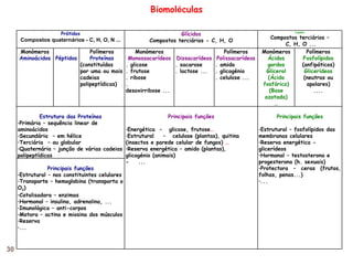 Biomol é culas Prótidos Compostos quaternários - C, H, O, N ... Glícidos Compostos terciários - C, H, O Lípidos Compostos terciários – C, H, O ... Monómeros Aminoácidos Péptidos Polímeros Proteínas (constituídas por uma ou mais cadeias polipeptídicas) Monómeros Monossacarídeos . glicose . frutose . ribose . desoxirribose ... Dissacarídeos . sacarose . lactose ... Polímeros Polissacarídeos . amido  . glicogénio . celulose ... Monómeros Ácidos gordos Glicerol (Ácido fosfórico) (Base azotada) … Polímeros Fosfolípidos (anfipáticos) Glicerídeos (neutras ou apolares) .... Estrutura das Proteínas Primária – sequência linear de aminoácidos Secundária  – em hélice Terciária  – ou globular Quaternária – junção de várias cadeias polipeptídicas Principais funções Energética  –  glicose, frutose … Estrutural  –  celulose (plantas), quitina (insectos e parede celular de fungos)  … Reserva energética – amido (plantas),  glicogénio (animais) -  ... Principais funções Estrutural – fosfolípidos das membranas celulares Reserva energética - glicerídeos Hormonal – testosterona e progesterona (h. sexuais) Protectora – ceras (frutos, folhas, penas...) ... Principais funções Estrutural – nos constituintes celulares Transporte – hemoglobina (transporta o O 2 ) Catalisadora – enzimas  Hormonal – insulina, adrenalina, ... Imunológica – anti-corpos Motora – actina e miosina dos músculos Reserva ... 