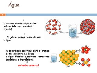 Água  a mesma massa ocupa maior volume (do que no estado líquido)   O gelo é menos denso do que a água A polaridade contribui para o grande poder solvente da água;  a água dissolve numerosos compostos orgânicos e inorgânicos  solvente universal 