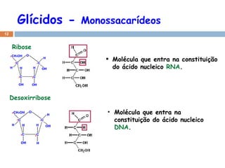 Glícidos -  Monossacarídeos Molécula que entra na constituição do ácido nucleico  RNA . Molécula que entra na constituição do ácido nucleico  DNA . Ribose  Desoxirribose  Ribose 