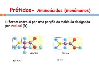 Prótidos-  Aminoácidos (monómeros) Diferem entre si por uma porção da molécula designada por  radical  (R). R = CH3 R = H 