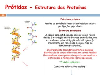 Prótidos -  Estrutura das  Proteínas Estrutura primária Resulta da sequência linear de aminoácidos unidos por ligações peptídicas. Estrutura secundária A cadeia polipeptídica pode enrolar-se em hélice devido à interacção entre diversos aminoácidos, que estabelecem entre si ligações de hidrogénio (o enrolamento em hélice não é o único tipo de estrutura secundária). O enrolamento secundário permite a desigual distribuição de cargas eléctricas em certas regiões (formando-se zonas polares) enquanto que noutras a distribuição é homogénea (zonas apolares). ˆ Proteína anfipática  (com zona polar e zona apolar)  ˆ 