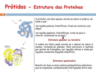 Prótidos -  Estrutura das  Proteínas A proteína, em meio aquoso, enrola-se sobre si própria, de modo a que: as regiões polares, hidrofílicas, ficam em contacto com aágua; as regiões apolares, hidrofóbicas, viram-se para o interior, afastando-se da água.ˆ   Estrutura globular ou terciária A cadeia em hélice pode enrolar-se e dobrar-se sobre si mesma, tornando-se globular. Esta estrutura é mantida por pontes de hidrogénio, por ligações iónicas e ainda por ligações covalentes (ligações dissulfito). Estrutura quaternária Resulta de duas ou mais cadeias polipeptídicas globulares que se organizam, estabelecendo interligações entre elas. 