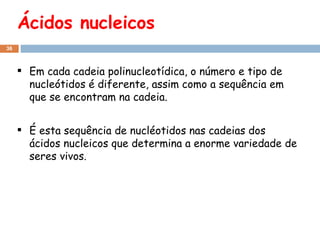 Ácidos nucleicos Em cada cadeia polinucleotídica, o número e tipo de nucleótidos é diferente, assim como a sequência em que se encontram na cadeia. É esta sequência de nucléotidos nas cadeias dos ácidos nucleicos que determina a enorme variedade de seres vivos. 