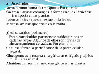 2) Disacáridos: actúan como forma de transporte. Por ejemplo: Sacarosa:  azúcar común; es la forma en que el azúcar se transporta en las plantas.Lactosa: azúcar que sólo existe en la leche.Maltosa: azúcar  que existe en la malta.3)Polisacáridos (polímeros):   Están constituidos por monosacáridos unidos en cadenas largas. Algunos de ellos son formas de almacenamiento del azúcar. Por ejemplo:Celulosa: forma la parte fibrosa de la pared celular vegetal.Glucógeno: es la reserva energética en el hígado y tejidos musculares animal.Almidón: almacenamiento energético en las plantas.