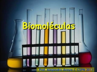 Biomoléculas



                                  1
   Prof. Alejandro Araya J. CSPN 2011
 