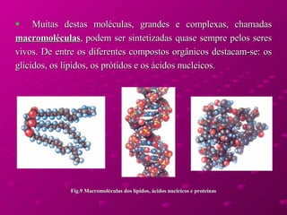Muitas destas moléculas, grandes e complexas, chamadas  macromoléculas , podem ser sintetizadas quase sempre pelos seres vivos. De entre os diferentes compostos orgânicos destacam-se: os glícidos, os lípidos, os prótidos e os ácidos nucleicos.   Fig.9 Macromoléculas dos lípidos, ácidos nucleicos e proteínas 