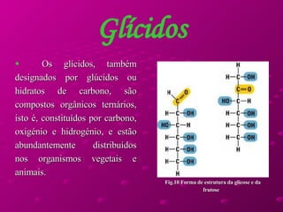 Glícidos Os glícidos, também designados por glúcidos ou hidratos de carbono, são compostos orgânicos ternários, isto é, constituídos por carbono, oxigénio e hidrogénio, e estão abundantemente distribuídos nos organismos vegetais e animais.  Fig.10 Forma de estrutura da glicose e da frutose  
