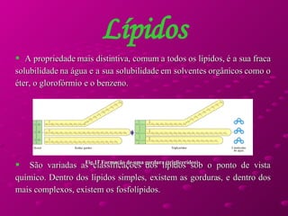 Lípidos A propriedade mais distintiva, comum a todos os lípidos, é a sua fraca solubilidade na água e a sua solubilidade em solventes orgânicos como o éter, o glorofórmio e o benzeno.  São variadas as classificações dos lípidos sob o ponto de vista químico. Dentro dos lípidos simples, existem as gorduras, e dentro dos mais complexos, existem os fosfolípidos.  Fig.17 Formação de uma gordura (triglicerídeo) 