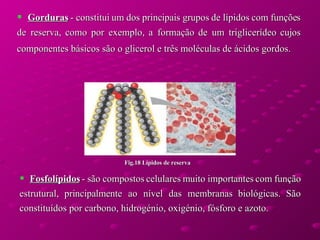 Gorduras  - constitui um dos principais grupos de lípidos com funções de reserva, como por exemplo, a formação de um triglicerídeo cujos componentes básicos são o glicerol e três moléculas de ácidos gordos.   Fosfolípidos  - são compostos celulares muito importantes com função estrutural, principalmente ao nível das membranas biológicas. São constituídos por carbono, hidrogénio, oxigénio, fósforo e azoto.  Fig.18 Lípidos de reserva 