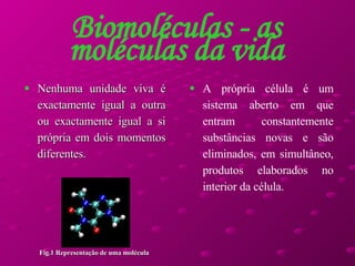 Nenhuma unidade viva é exactamente igual a outra ou exactamente igual a si própria em dois momentos diferentes. Biomoléculas - as moléculas da vida A própria célula é um sistema aberto em que entram constantemente substâncias novas e são eliminados, em simultâneo, produtos elaborados no interior da célula.  Fig.1 Representação de uma molécula   