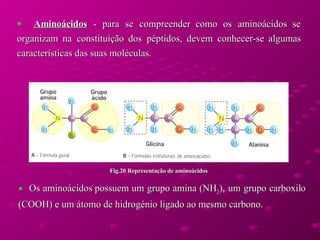 Aminoácidos  - para se compreender como os aminoácidos se organizam na constituição dos péptidos, devem conhecer-se algumas características das suas moléculas.  Os aminoácidos possuem um grupo amina (NH 2 ), um grupo carboxilo (COOH) e um átomo de hidrogénio ligado ao mesmo carbono.  Fig.20 Representação de aminoácidos 