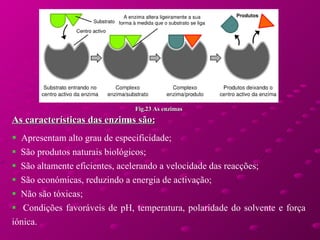 As características das enzimas são: Apresentam alto grau de especificidade; São produtos naturais biológicos; São altamente eficientes, acelerando a velocidade das reacções; São económicas, reduzindo a energia de activação; Não são tóxicas; Condições favoráveis de pH, temperatura, polaridade do solvente e força iónica.   Fig.23 As enzimas 