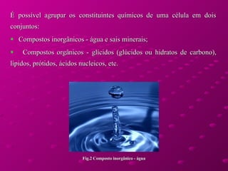 É possível agrupar os constituintes químicos de uma célula em dois conjuntos: Compostos inorgânicos - água e sais minerais; Compostos orgânicos - glícidos (glúcidos ou hidratos de carbono), lípidos, prótidos, ácidos nucleicos, etc.  Fig.2 Composto inorgânico - água 