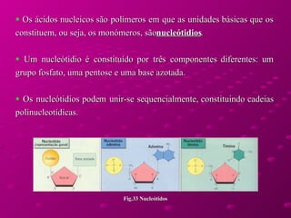 Os ácidos nucleicos são polímeros em que as unidades básicas que os constituem, ou seja, os monómeros, são  nucleótidios .  Um nucleótidio é constituído por três componentes diferentes: um grupo fosfato, uma pentose e uma base azotada.  Os nucleótidios podem unir-se sequencialmente, constituindo cadeias polinucleotídicas.  Fig.33 Nucleótidos 