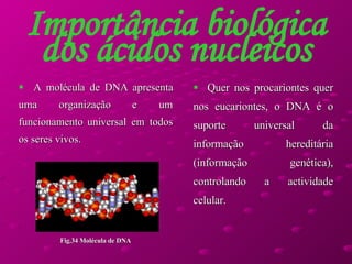 Importância biológica dos ácidos nucleicos A molécula de DNA apresenta uma organização e um funcionamento universal em todos os seres vivos.  Quer nos procariontes quer nos eucariontes, o DNA é o suporte universal da informação hereditária (informação genética), controlando a actividade celular.  Fig.34 Molécula de DNA 