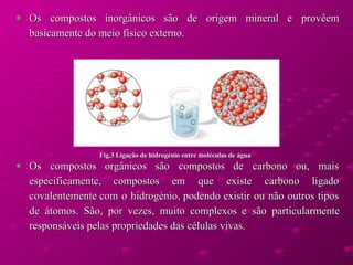 Os compostos inorgânicos são de origem mineral e provêem basicamente do meio físico externo.  Os compostos orgânicos são compostos de carbono ou, mais especificamente, compostos em que existe carbono ligado covalentemente com o hidrogénio, podendo existir ou não outros tipos de átomos. São, por vezes, muito complexos e são particularmente responsáveis pelas propriedades das células vivas.  Fig.3 Ligação de hidrogénio entre moléculas de água 