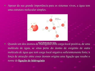 Apesar da sua grande importância para os sistemas vivos, a água tem uma estrutura molecular simples.  Quando um dos átomos de hidrogénio com carga local positiva, de uma molécula de água, se situa perto do átomo de oxigénio de outra molécula de água que tem carga local negativa suficientemente forte, a força de atracção entre esses átomos origina uma ligação que recebe o nome de  ligação de hidrogénio .  Fig.5 Molécula da água 