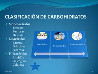 CLASIFICACIÓN DE CARBOHIDRATOS
  Monosacáridos
     Tetrosas
     Pentosas
     Hexosas
  Disacáridos
     Lactosa
     Galactosa
     Sacarosa
  Polisacáridos
     Almidón
     Glucógeno
     Celulosa

07/11/2012                       6
 