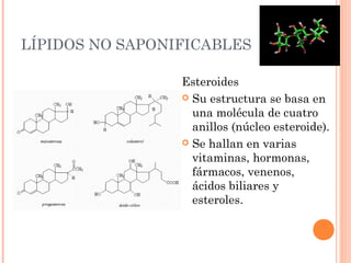 LÍPIDOS NO SAPONIFICABLES

                 Esteroides
                  Su estructura se basa en
                   una molécula de cuatro
                   anillos (núcleo esteroide).
                  Se hallan en varias
                   vitaminas, hormonas,
                   fármacos, venenos,
                   ácidos biliares y
                   esteroles.
 