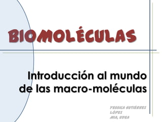 BIOMOLÉCULAS
Yessica Gutiérrez
López
MIA, UdeA
Introducción al mundo
de las macro-moléculas
 