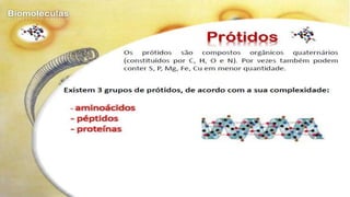 Biomoléculas - Biologia 10º Ano