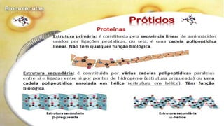 Biomoléculas - Biologia 10º Ano