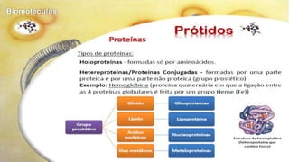 Biomoléculas - Biologia 10º Ano