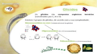 Biomoléculas - Biologia 10º Ano