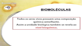 Biomoléculas - Biologia 10º Ano